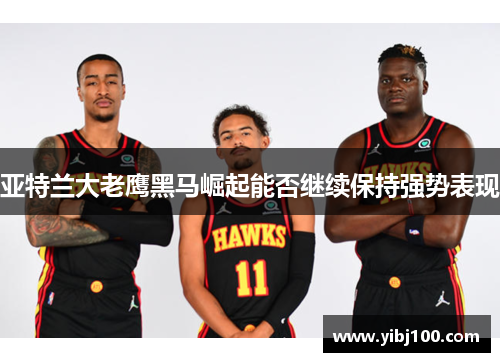 亚特兰大老鹰黑马崛起能否继续保持强势表现